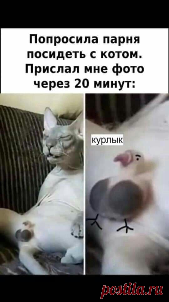 Зарядитесь позитивом в воскресный вечер.