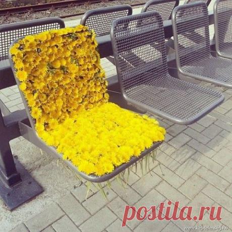 Романтика™