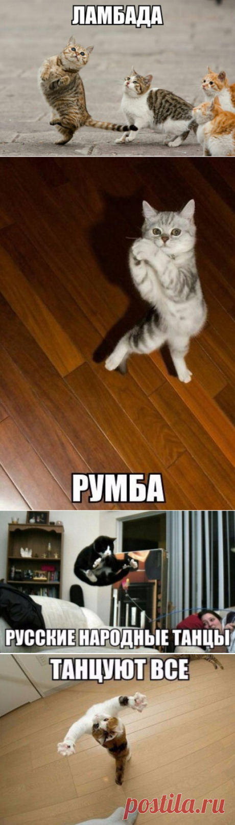Уроки танцев от лучших преподавателей.