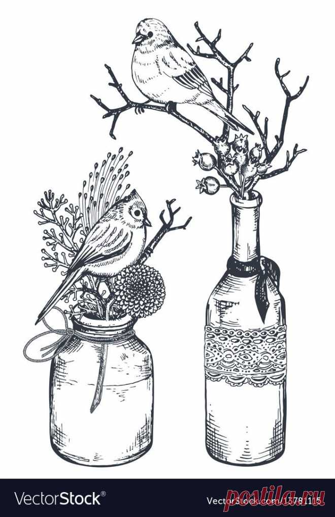 Collection Hand Drawn Flowers And Plants Vector Image 1B4