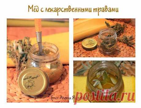 Мед с травами. Как приготовить мёд с травами?