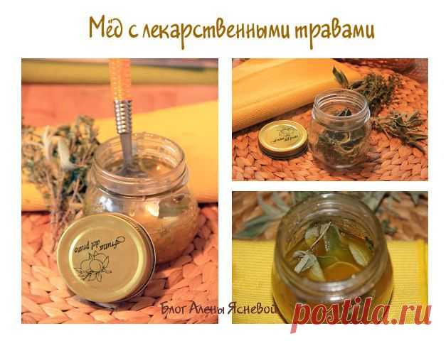 Мед с травами. Как приготовить мёд с травами?