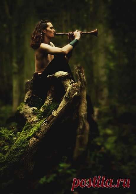 ПРОДОЛЖЕНИЕ
Там холодна вода как пламень, 
целебна горечь диких трав, 
там бурундук, сосна и камень 
не спорят, кто из них неправ. 
И нет там лжи, и нет там правды – 
там просто жизнь. Спокон веков. 
И молча зеленеют травы 
под белым полем облаков.