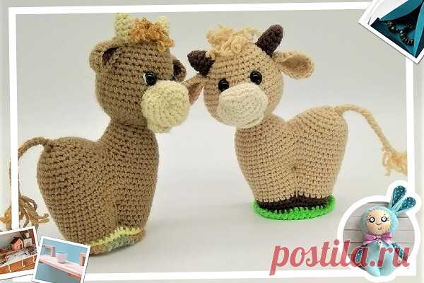 Сердечный бычок
     
Вяжем овал- основание:
Цепочка 9ВП, со 2-й петли от крючка вяжем
1: 7сбн, 3сбн в последнюю петлю, по др. стороне цепочки- 6сбн, пр (18)
2: пр, 6сбн, 3пр, 6 сбн, 2пр (24)
3: 1сбн, пр, 6сбн, (сбн, пр)х3, 6сбн, (сбн, пр)х2 (30)
поставьте ниточки-маркеры в уголки
4: (4сбн, пр)х 6 (36)
5; 36сбн за заднюю стенку петли
( не забудьте затем обвязать за передние стенки петли основание, укретить, вырезав овал из плотного картона и приклеев его к основанию с внут...