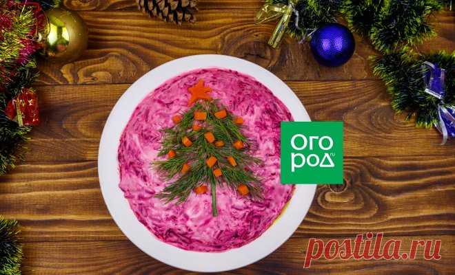 Селедка под шубой – лучшие рецепты от классических до экзотических | Статьи (Огород.ru)