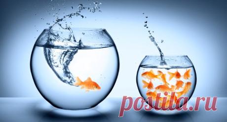 Overcoming These 7 Challenges Will Make You More Successful | Dr. Travis Bradberry | Pulse | LinkedIn