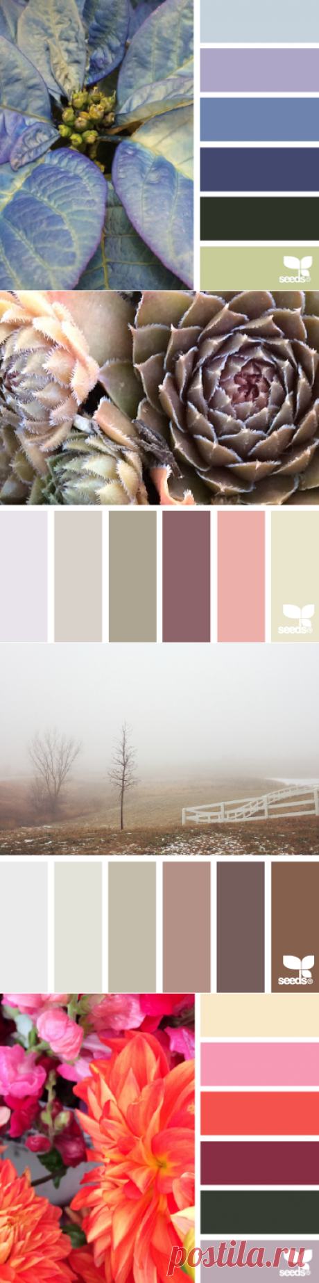 design seeds | for all who ♥ color