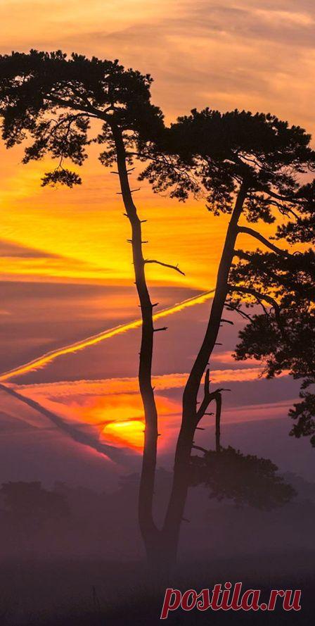 Merri Fernandez приколол(а) это к доске M♥ther Nature