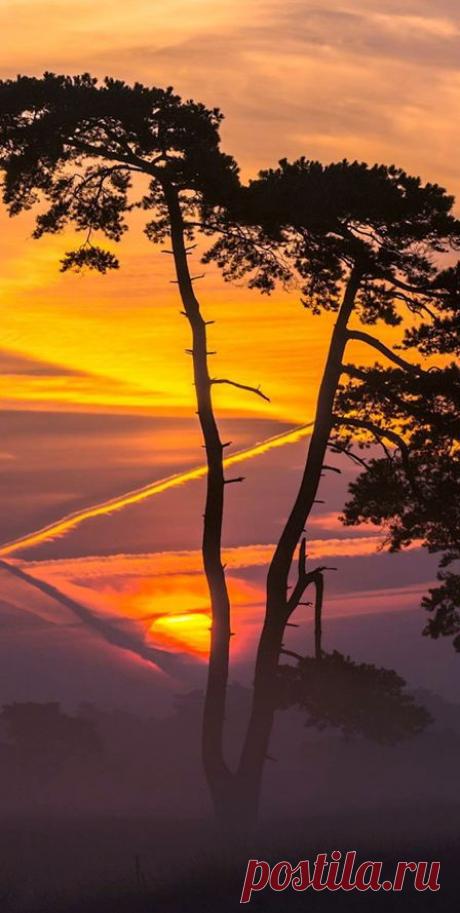 Merri Fernandez приколол(а) это к доске M♥ther Nature