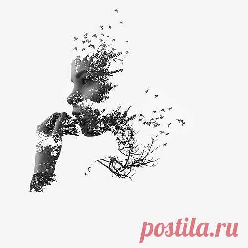 35PHOTO - фото сайт - фотографии