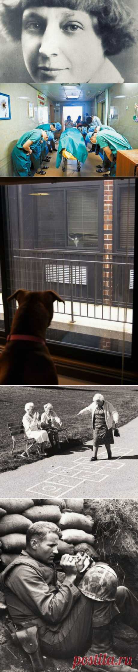 20 трогательных фотографий &amp;#8211; Фитнес для мозга