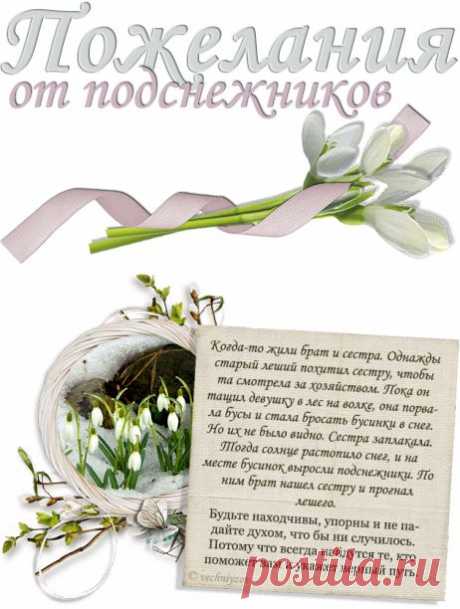 Вечный Зов - Пожелания Подснежников
