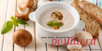 ВАША ЖИЗНЬ - ЭТО БЛЮДО ВАШЕ  |  Чтобы жизнь моя стала слаще, 
Притрушу её добротой… 
Мне не нужно злобы пропащей… 
Мне не надо лести пустой… 
 
 
Вместо мёда добавлю веру, 
Вместо сахара – счастья горсть… 
Вместо наглости – чувство меры, 
Чтоб попробовав, ахнул гость…