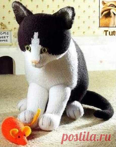 Кот от АД