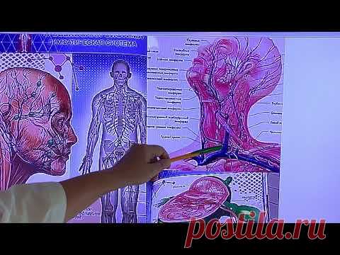Нарушение слуха. Профилактика и восстановление .