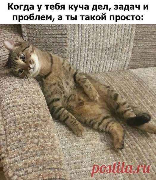 Книга - Рекордов
