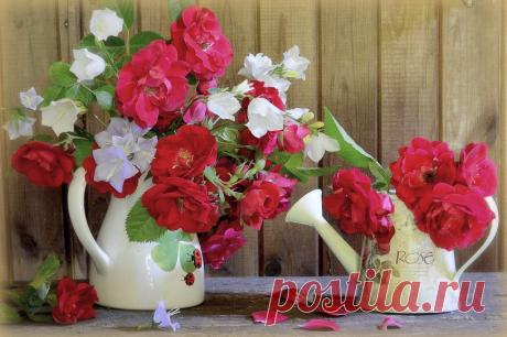 натюрморты