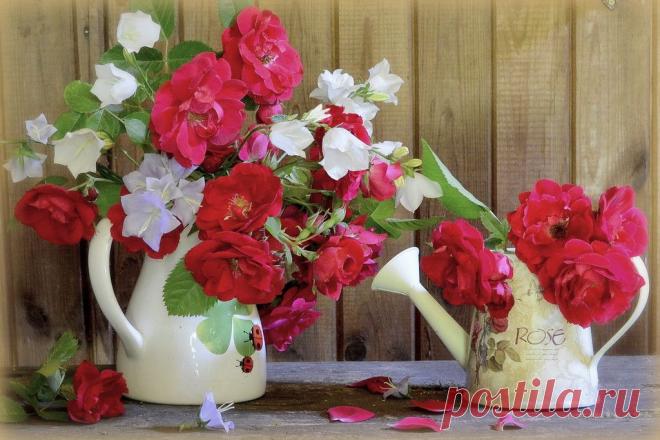 натюрморты