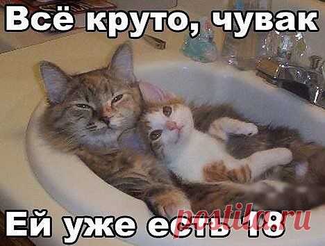 Группа: Фото приколы, демотиваторы
