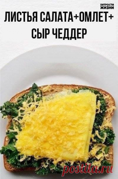 Хитрости жизни