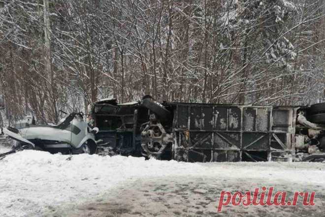 В Белоруссии сообщили о состоянии пострадавших в ДТП с автобусом россиян. В результате ДТП с туристическим автобусом и легковым автомобилем на участке трассы Витебск — Могилев — Гомель погиб водитель автобуса, более 40 туристов из России пострадали, из них шестеро — в тяжелом состоянии.