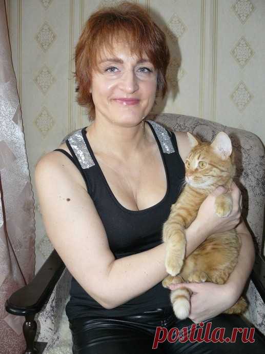 Лис и я