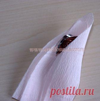 букеты из бумаги и конфет букет роз