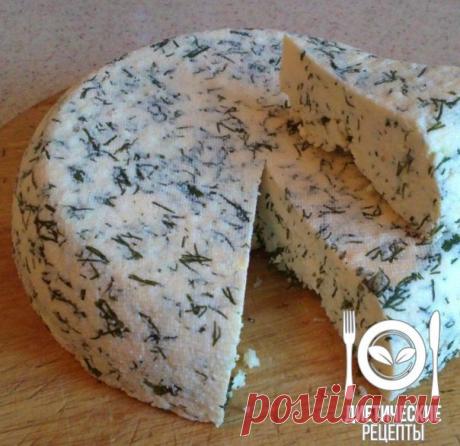 Вкуснейший домашний сыр / Солнышко