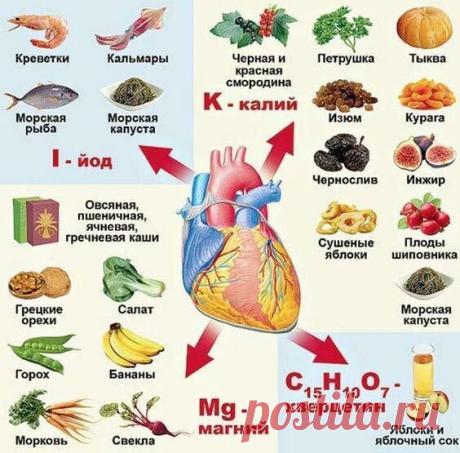 Сохраняем здоровье сердца