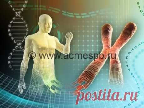 Китайское открытие: еда способна менять наши геныНовости здоровья