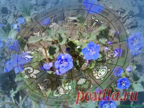 Конфликты планет и Лунное затмение. Гороскоп с 1.06 по 7.06.2020 | Астропропаганда | Яндекс Дзен
✨ Автор: астролог Нина Стрелкова. ✧ Конфликтные аспекты планет в первые дни июня  и лунное затмение 5 июня 2020 делают эту неделю сложной и неспокойной. Есть опасность ссор и разрыва отношений, материальных потерь и физических травм из-за спешки, нетерпения и излишней самоуверенности. Неделя не подходит для важных дел и начинаний. Соединение Солнца с ретроградной Венерой...