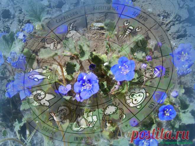 Конфликты планет и Лунное затмение. Гороскоп с 1.06 по 7.06.2020 | Астропропаганда | Яндекс Дзен
✨ Автор: астролог Нина Стрелкова. ✧ Конфликтные аспекты планет в первые дни июня  и лунное затмение 5 июня 2020 делают эту неделю сложной и неспокойной. Есть опасность ссор и разрыва отношений, материальных потерь и физических травм из-за спешки, нетерпения и излишней самоуверенности. Неделя не подходит для важных дел и начинаний. Соединение Солнца с ретроградной Венерой...