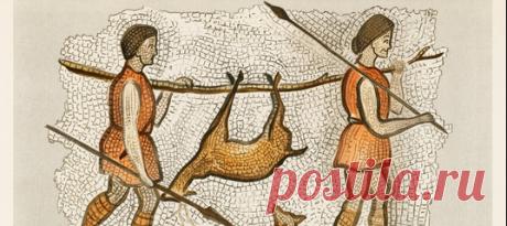 Всеядный ныне человек был таким не всегда: группа исследователей проанализировала около 400 работ по генетике, метаболизму, физиологии и морфологии человека и пришла к выводу, что почти 2,5 млн лет наши предки питались исключительно мясом, а на смену диеты их сподвигло исчезновение (или истребление) мегафауны.