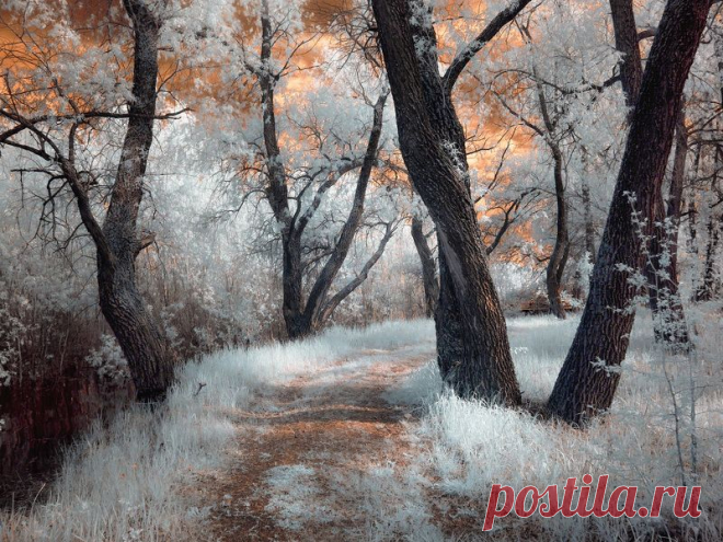 Фотографии жанра - Пейзаж. Профессиональные фото-сообщество 35PHOTO