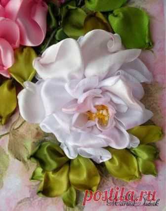 (1) ВСЕ ЦВЕТА~РАДУГИ~!