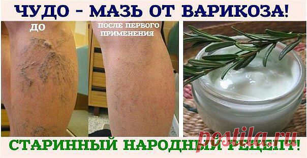 (49) Одноклассники