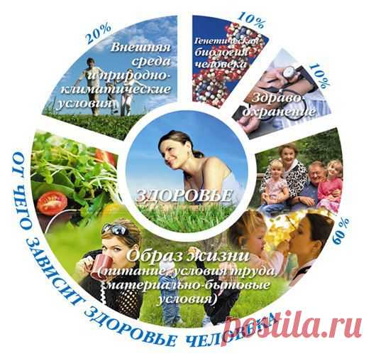 На Руси испокон веков люди знали о вкусном и целебном меде и широко пользовались им для восстановления здоровья при многих заболеваниях и для лечения ран. Об этом свидетельствуют сохранившиеся старинные русские рукописные лечебники. Мед воспевали в русских былинах как вкусную еду и лечебное исцеляющее средство. 
По сути дела, этот замечательный природный «сахар» был необычайно распространен и являлся единственным продуктом, обладающим сладким вкусом, не считая ягод и фруктов.