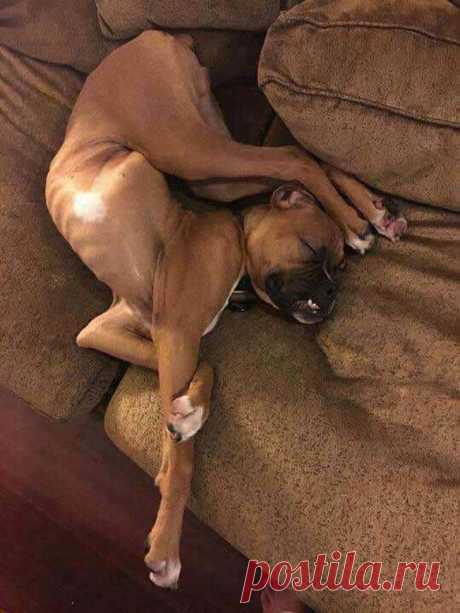 15 подписей, которые заставят вас смеяться над обычными фотографиями