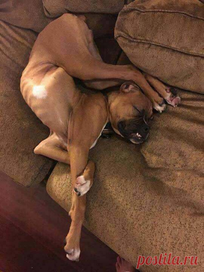 15 подписей, которые заставят вас смеяться над обычными фотографиями