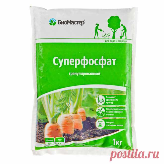 Чем подкормить лук в июне-июле, чтобы был огромным: использую последнюю возможность каждый год | Секреты сада и дачи | Яндекс Дзен
