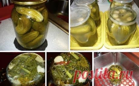 #Кулинария

 ОГУРЦЫ ИЗ ПОД КРАНА

Я долго мучилась, чтобы иметь зимой хрустящие соленые огурчики. Разные способы консервирования испробовала. Но судьба меня не оставила без внимания и послала мне... приятельницу из Киева, от нее я и узнала простейший способ консервирования огурчиков, которым пользуются киевлянки (как она мне сказала) и этот способ так и называется "Огурцы из-под крана".
Рецепт: 
покупаем огурчики маленькие и средние, пупырчатые.
В стеклянные банки на дно р...