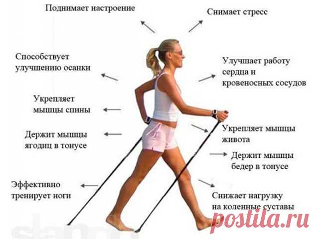 СКАНДИНАВСКАЯ ХОДЬБА
Скандинавская ходьба – это не развлечение, а вполне серьезный вид фитнеса для укрепления здоровья и для похудения.  Польза Скандинавской ходьбы огромна! Существует спортивная ходьба – об этом виде спорта все знают. Но Скандинавская ходьба с палками – это нечто особенное.
Причины популярности Скандинавской ходьбы:
 Можно заниматься в любое время года на свежем воздухе, даже зимой.
Доступный вид фитнеса для людей всех возрастов.
 Эффективный метод похуде...