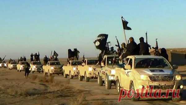МИД России: Американцы и британцы поставляли в Сирию внедорожники Toyota, которые попали к ИГ — Рамблер.Новости