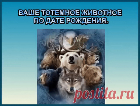 (1) Одноклассники