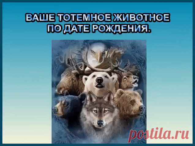 (1) Одноклассники