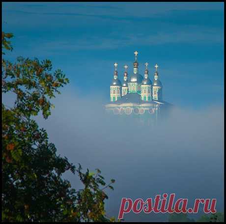 Виталий Водолазов
43 года, Россия, г. Лодейное Поле (Лодейнопольский район)