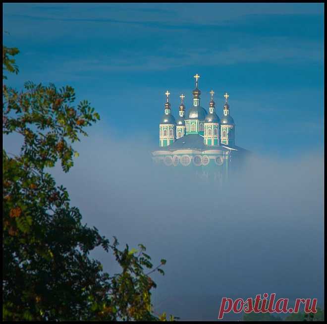 Виталий Водолазов
43 года, Россия, г. Лодейное Поле (Лодейнопольский район)