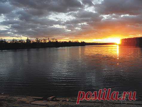 Налим накануне ледостава - МирТесен