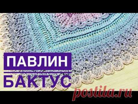 Часть 1.Вяжем мой авторский бактус «Павлин»