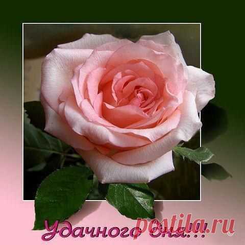 ╭დ╯СВЕТ ДУШИ╭დ╯